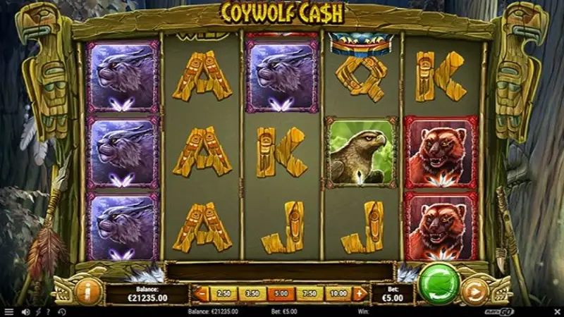 Coywolf Cash