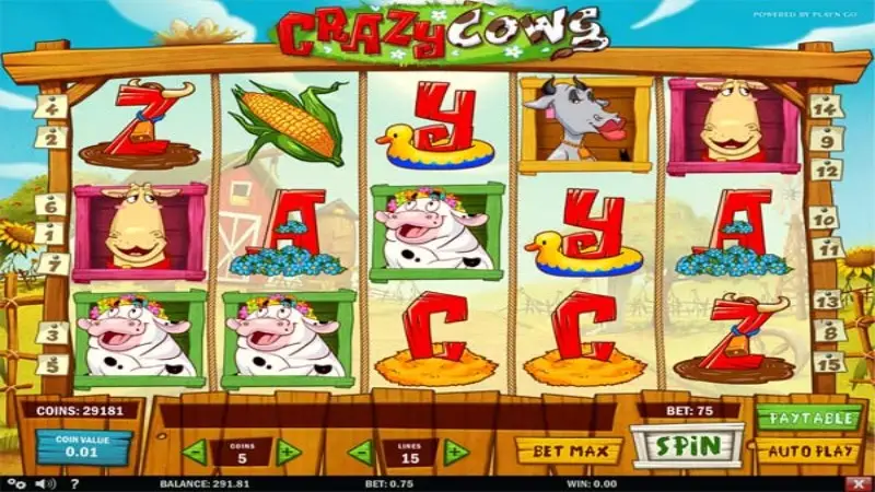 Crazy Cows