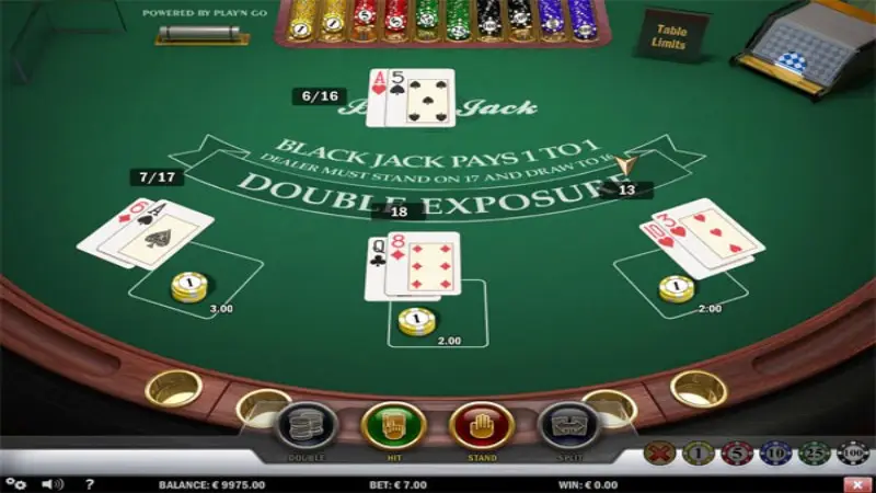 Double Exposure BlackJack MH