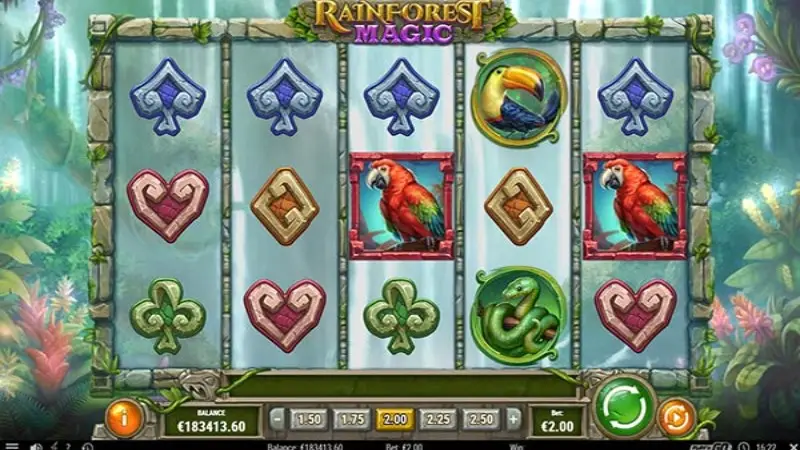 Rainforest Magic