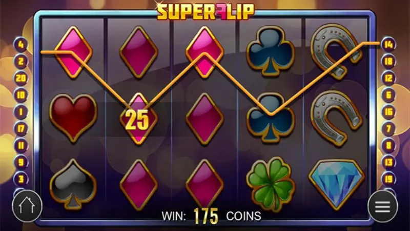 Super Flip