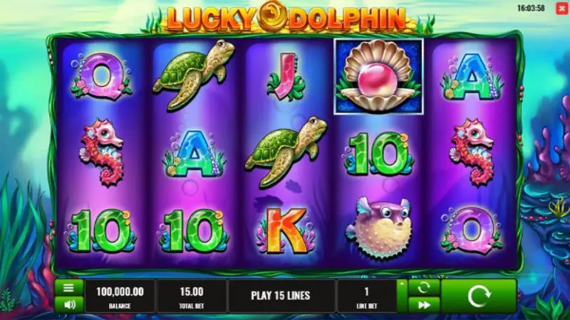 Lucky Dolphin