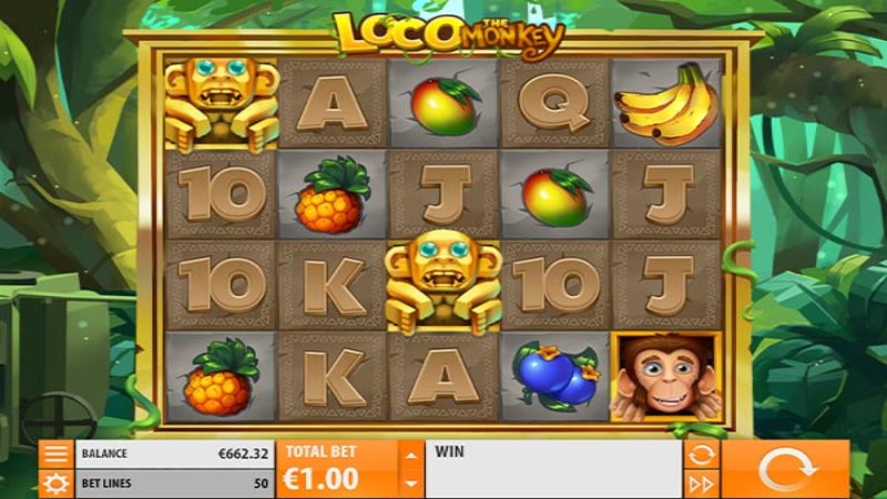 Loco the Monkey