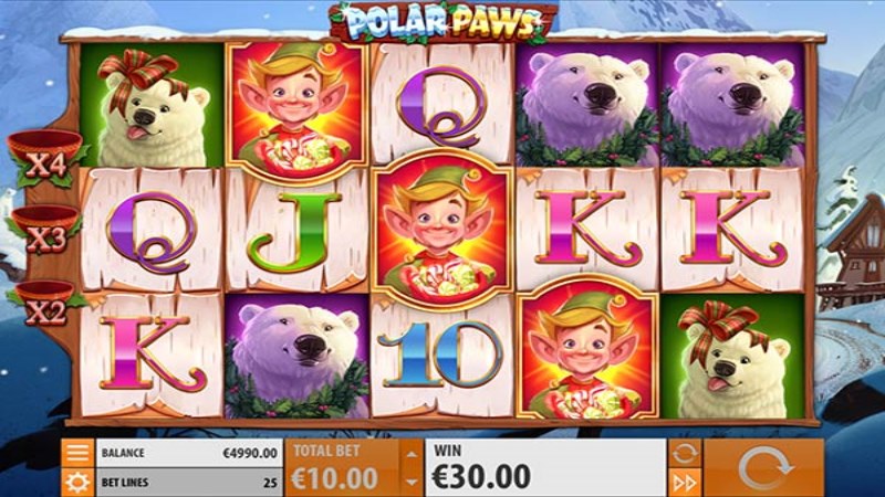 Polar Paws