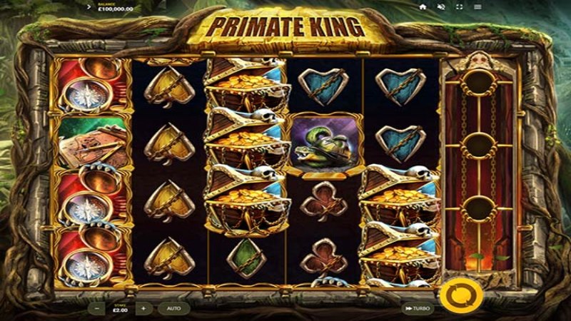 Primate King