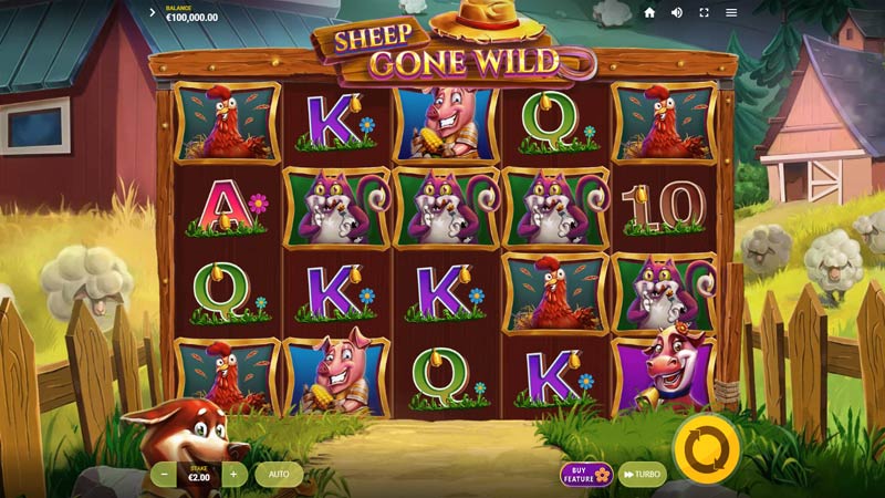Sheep Gone Wild