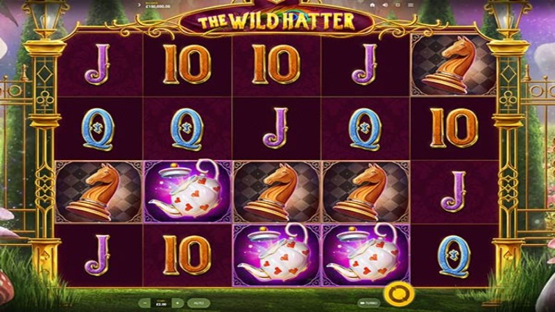The Wild Hatter
