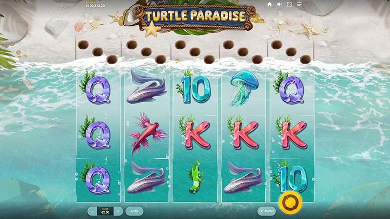 Turtle Paradise