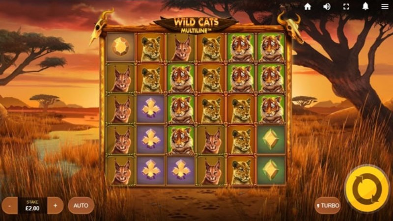 Wild Cats Multiline