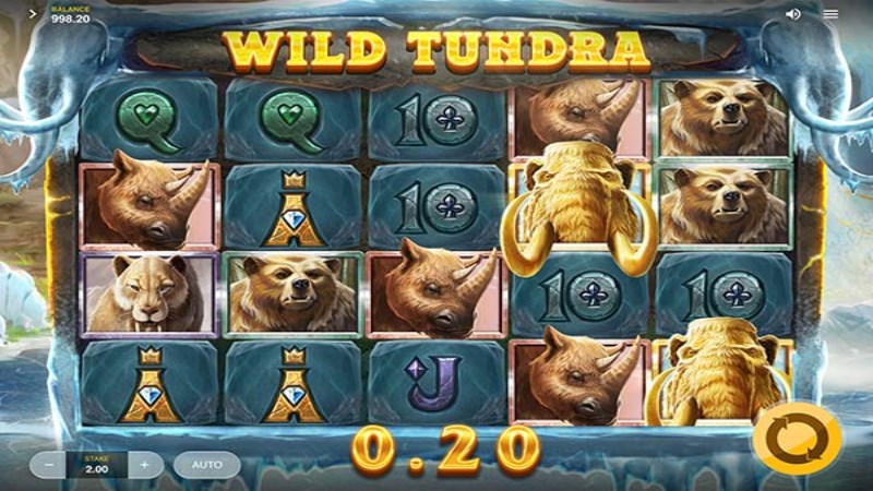 Wild Tundra