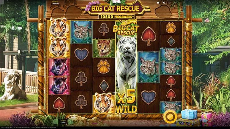 Big Cat Rescue Megaways