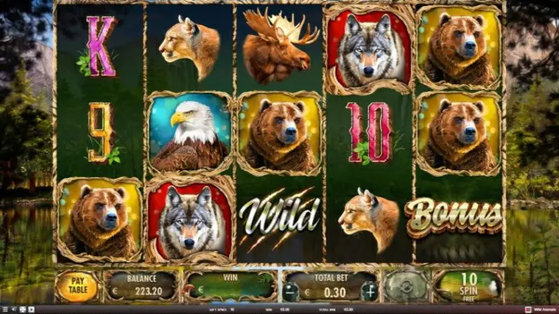 Wild animals