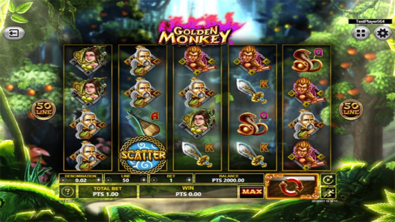 Golden Monkey