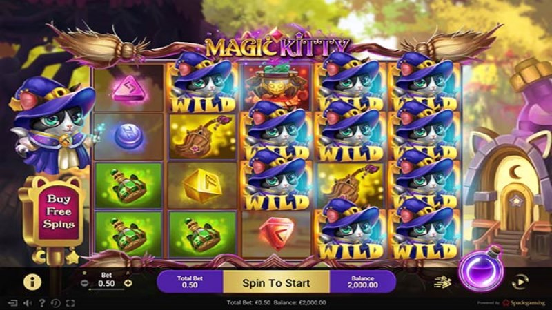 Magic Kitty
