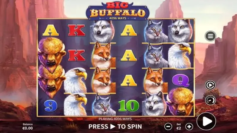 Big Buffalo