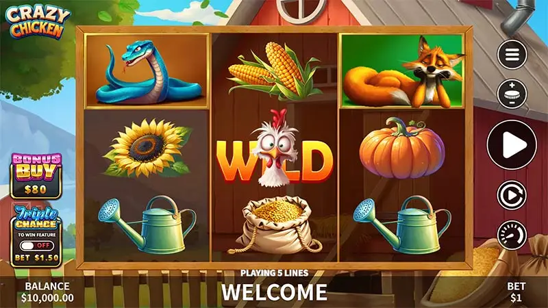 Crazy Chicken