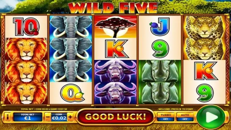 Wild Five