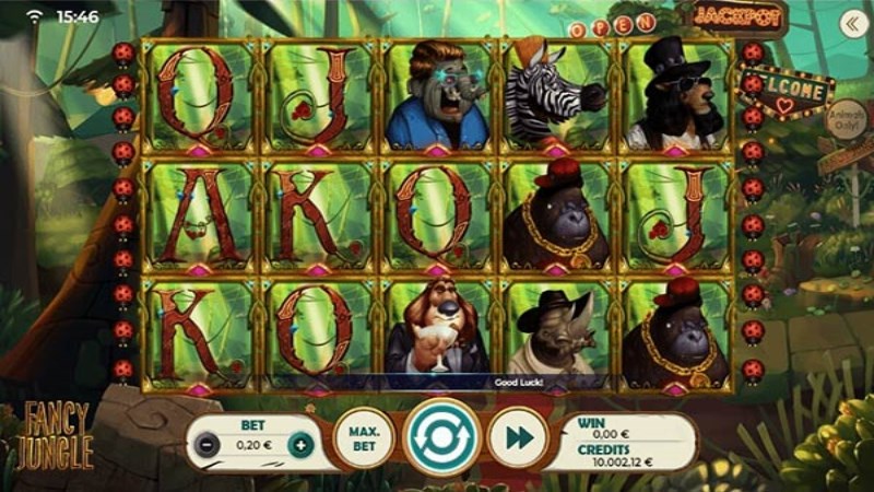 Fancy Jungle