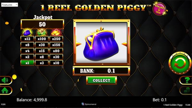 1 Reel Golden Piggy