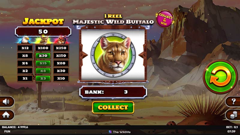 1 Reel Majestic Wild Buffalo