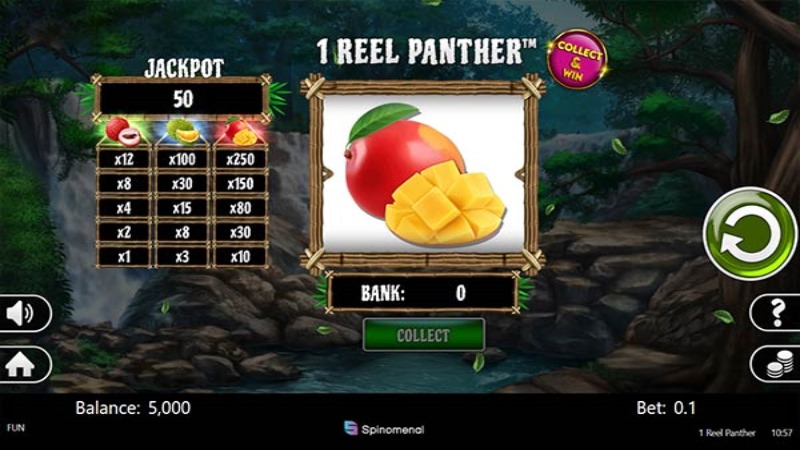 1 Reel Panther