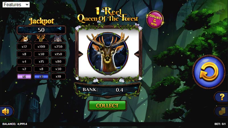 1 Reel Queen Of The Forest