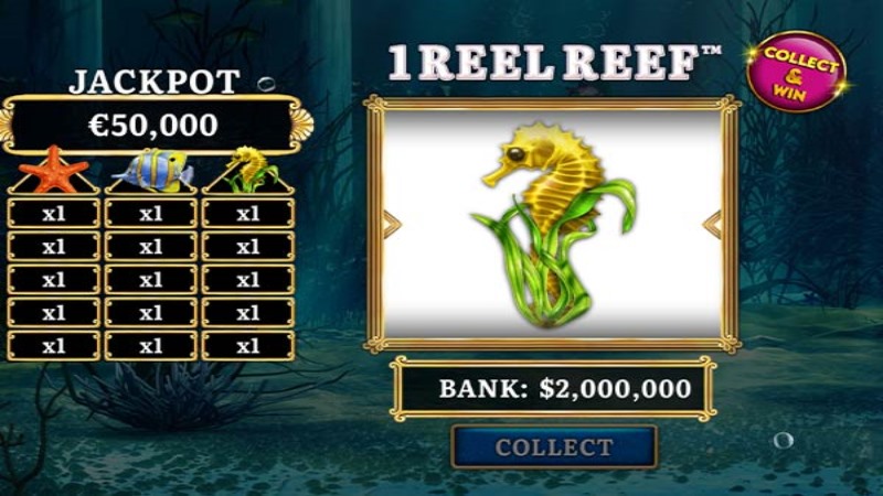 1 Reel Reef