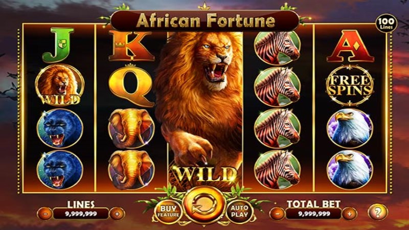 African Fortune