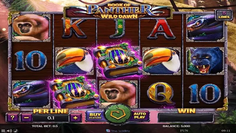 Book of Panther Wild Dawn
