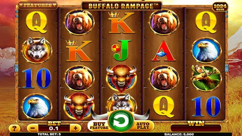 Buffalo Rampage