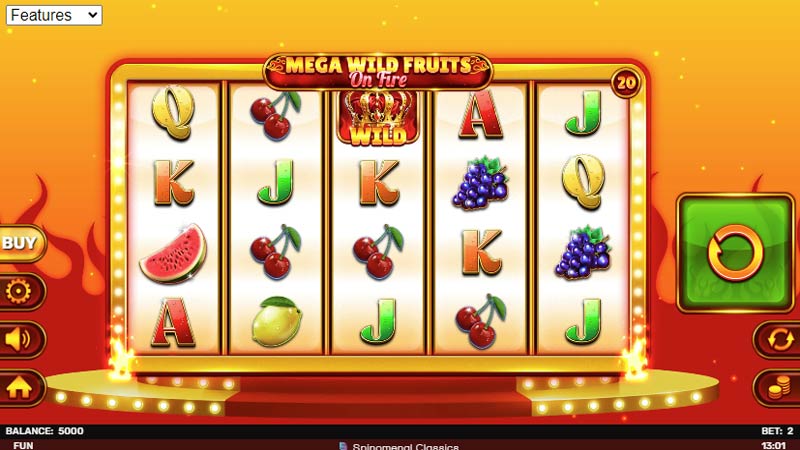 Mega Wild Fruits On Fire