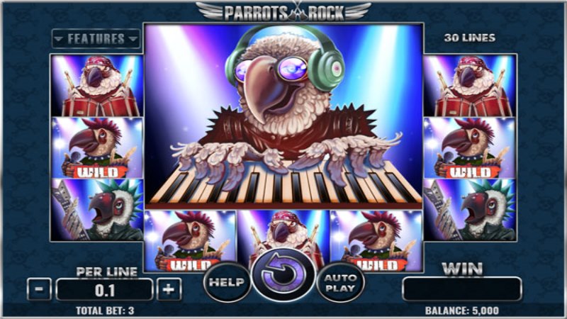 Parrots Rock