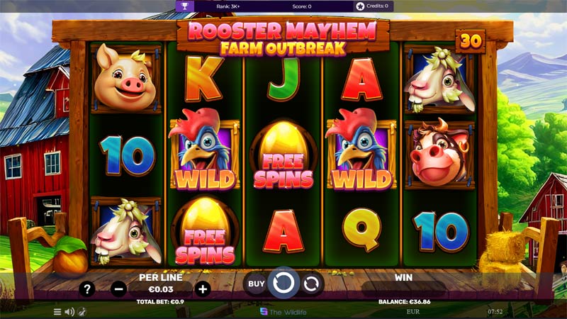 Rooster Mayhem Farm Outbreak