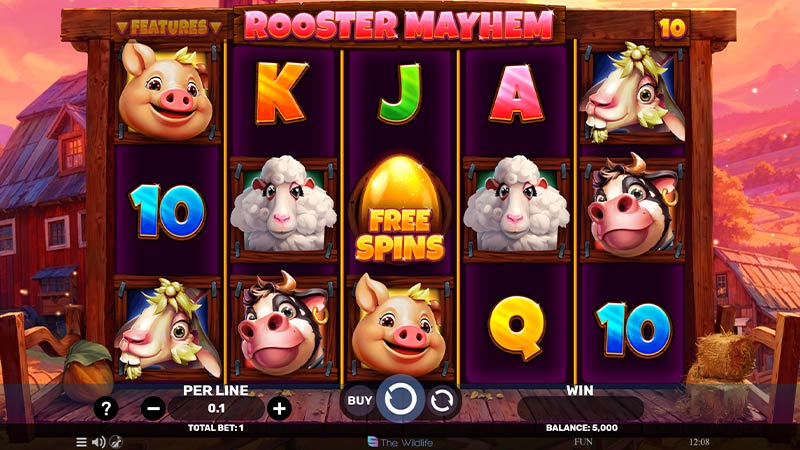 Rooster Mayhem