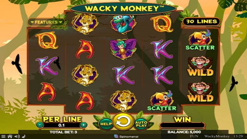Wacky Monkey