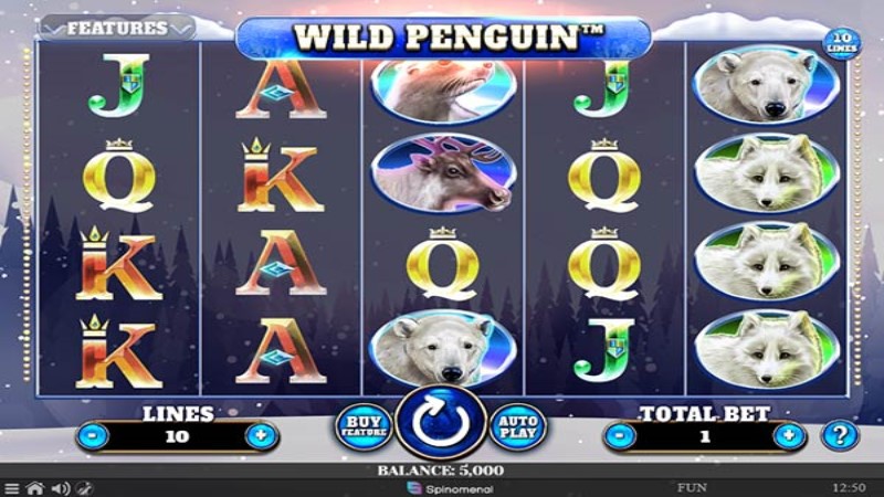 Wild Penguin