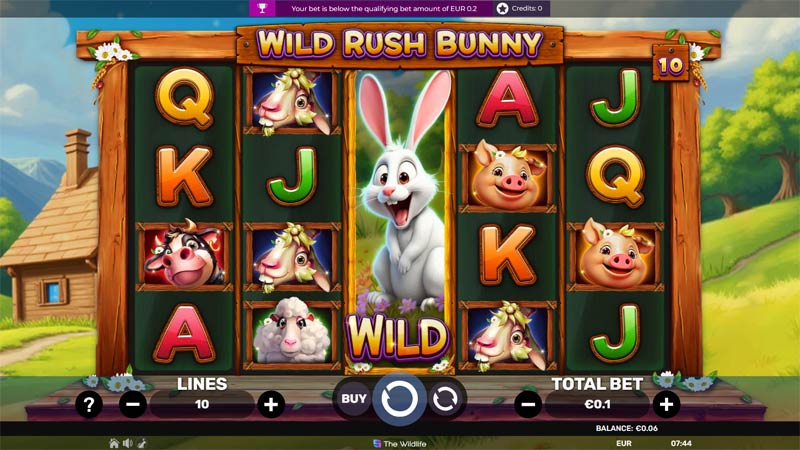 Wild Rush Bunny