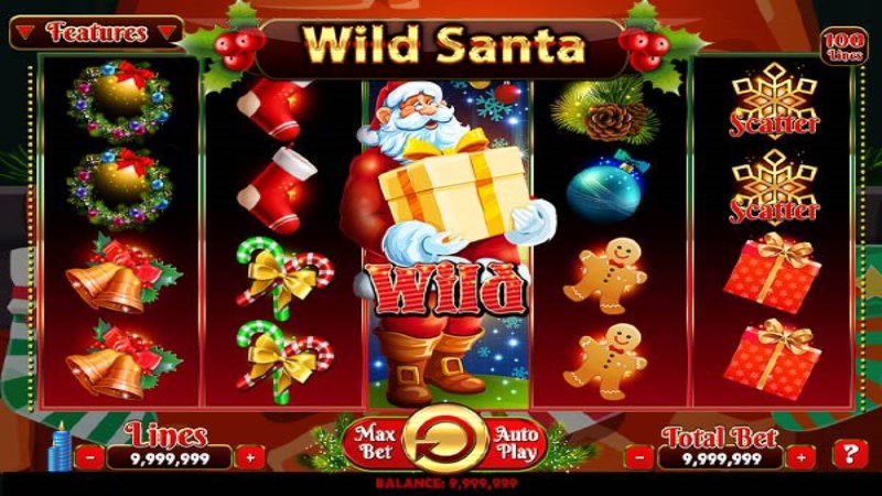 Wild Santa
