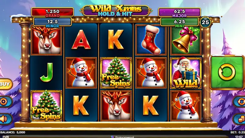 Wild Xmas Hold and Hit