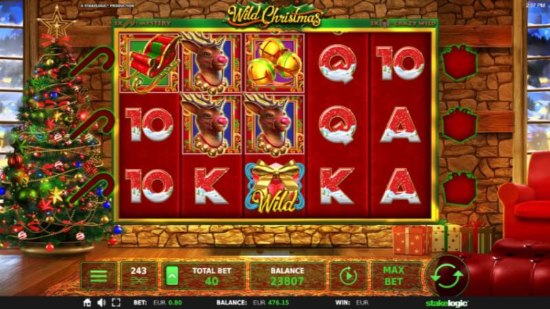 Wild Christmas