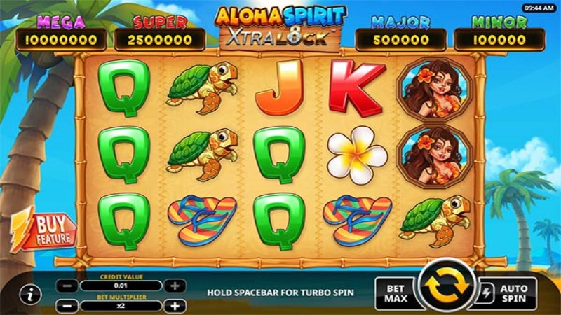 Aloha Spirit XtraLock