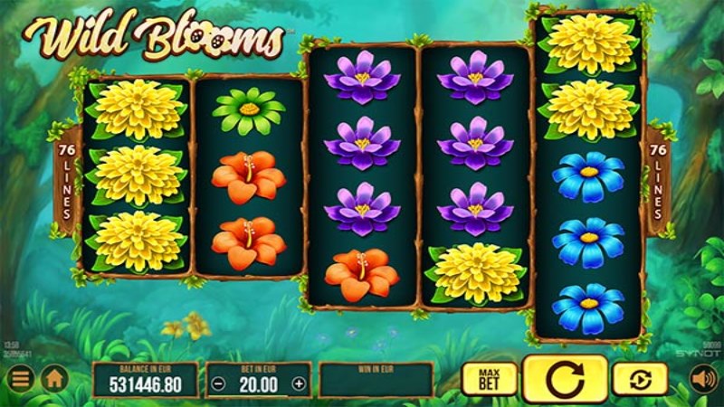 Wild Blooms