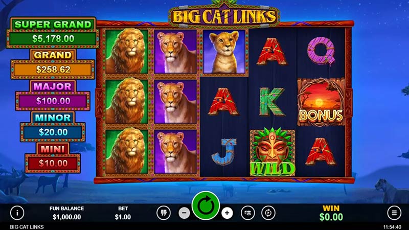 Big Cat Links