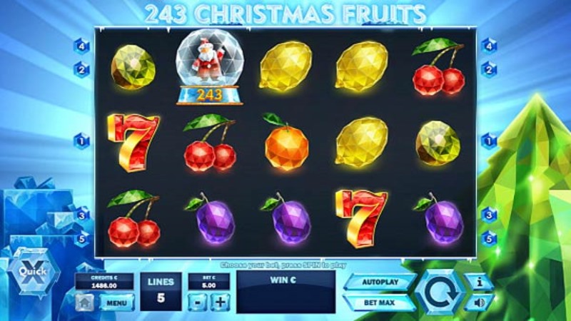 243 Christmas Fruits