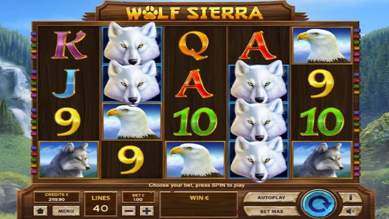 Wolf Sierra
