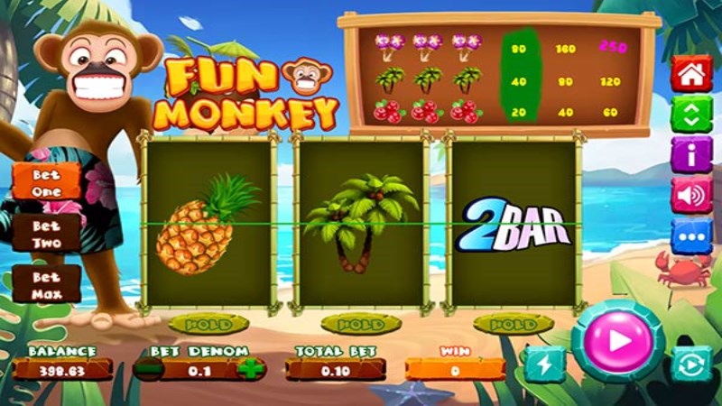Fun Monkey