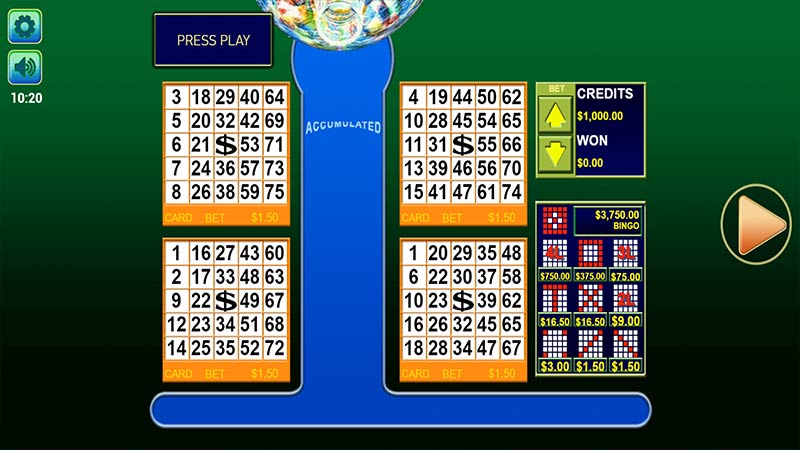 Bingo 3