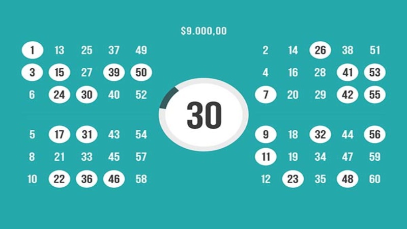 Go Go Bingo