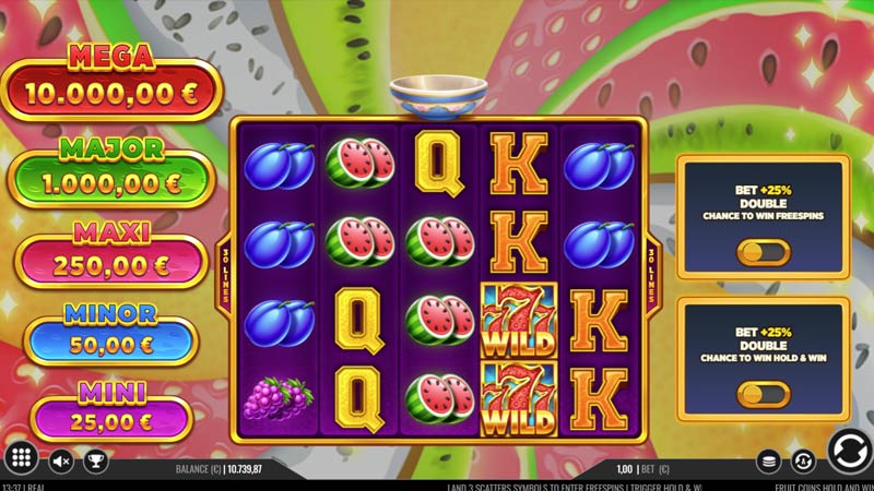 Fruit Coins Hold and Win