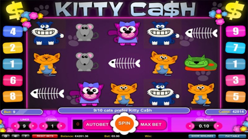 Kitty Ca$h